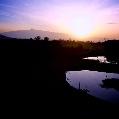 Treetops Mweiga ภายนอก รูปภาพ