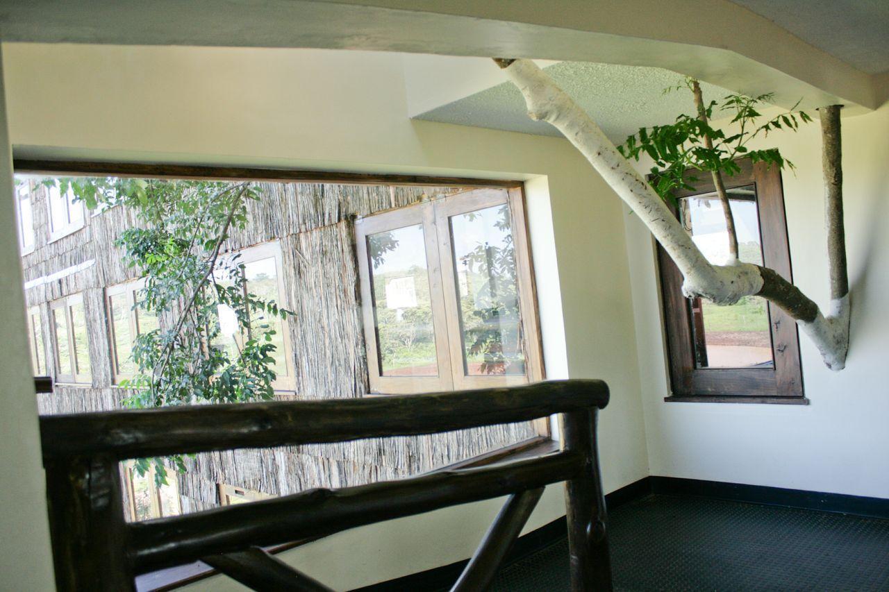 Treetops Mweiga ภายนอก รูปภาพ