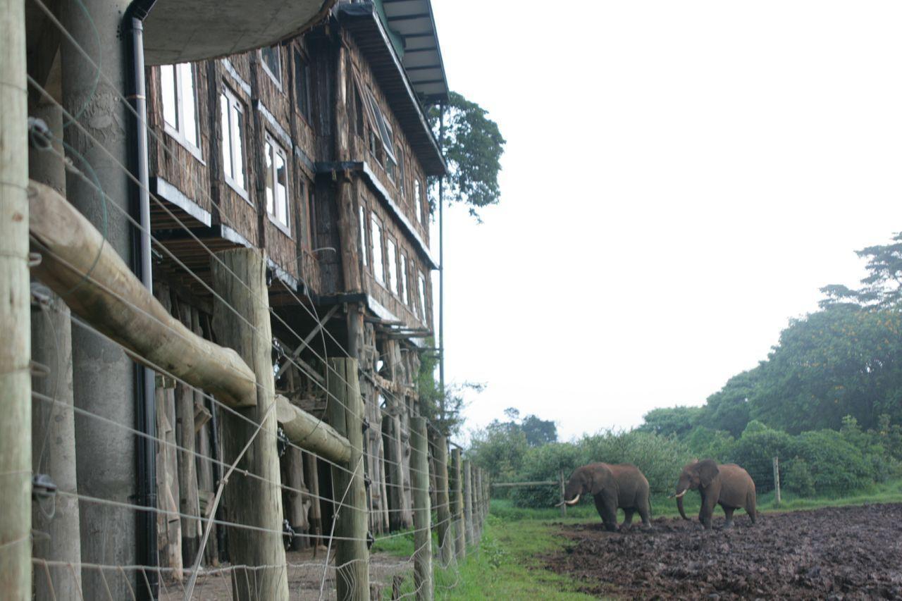 Treetops Mweiga ภายนอก รูปภาพ