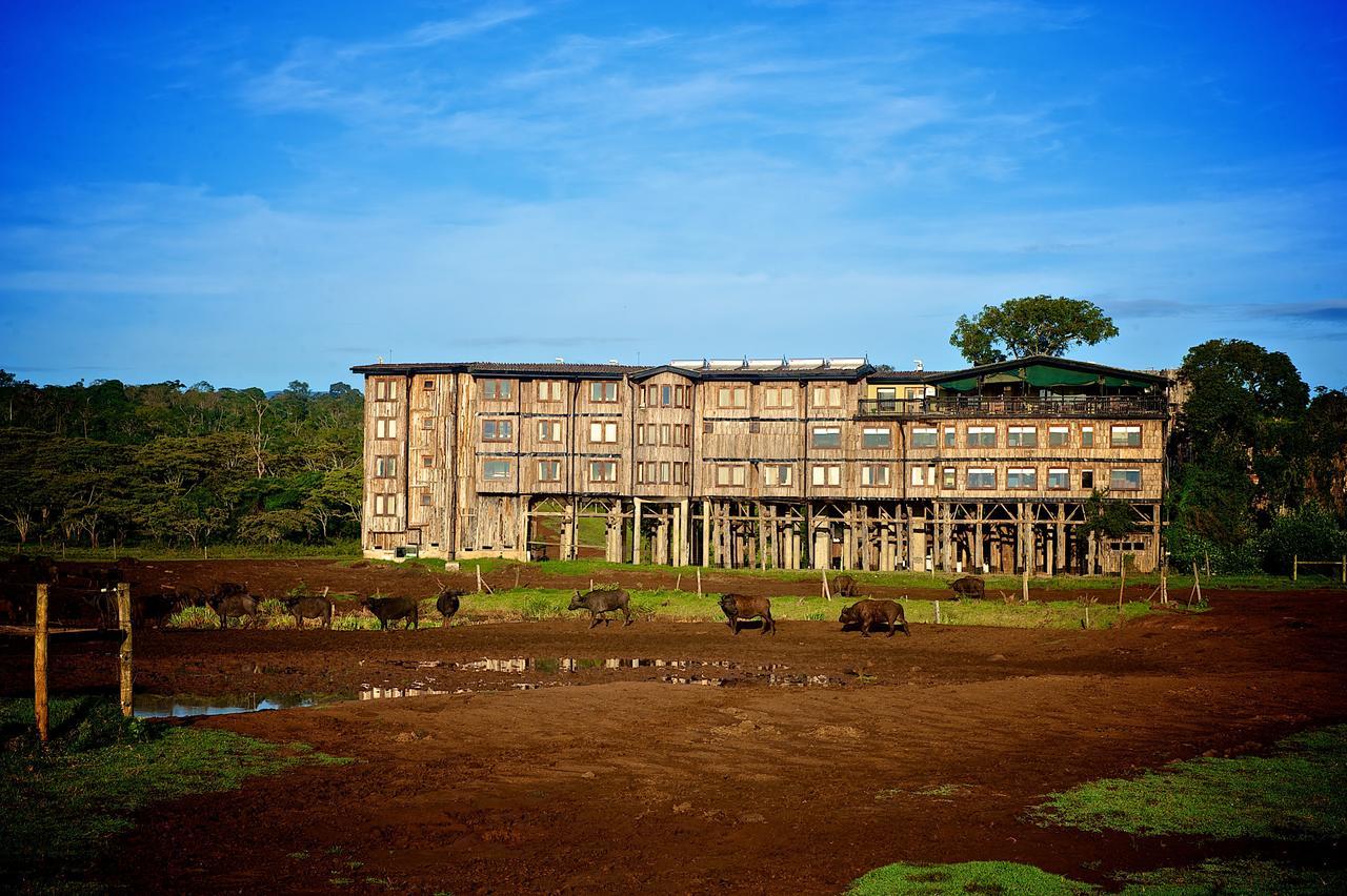 Treetops Mweiga ภายนอก รูปภาพ