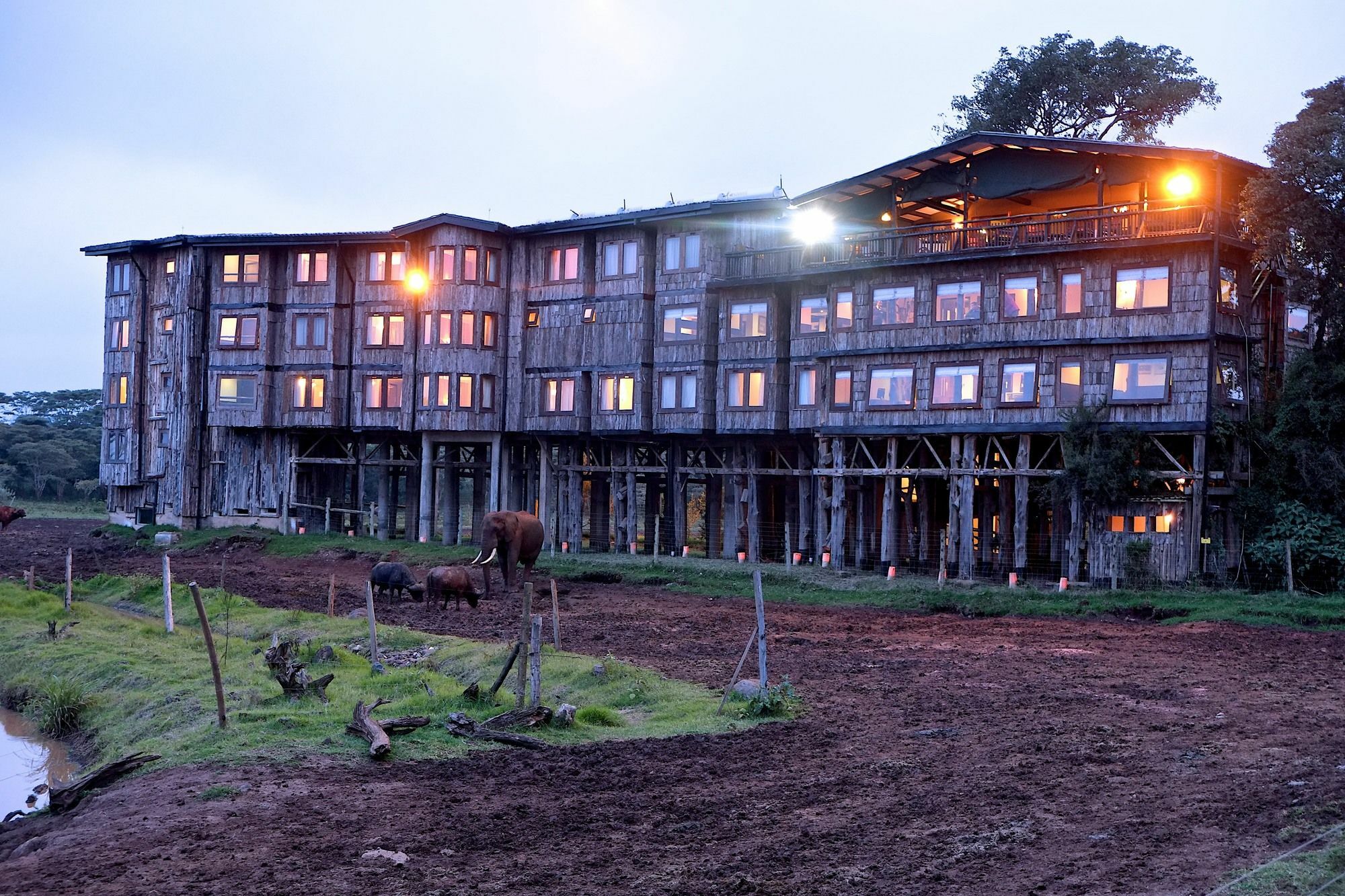 Treetops Mweiga ภายนอก รูปภาพ