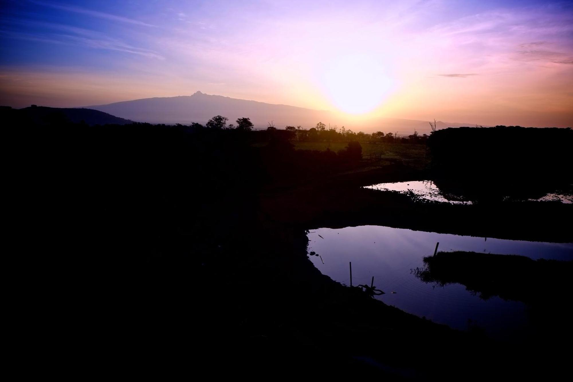 Treetops Mweiga ภายนอก รูปภาพ