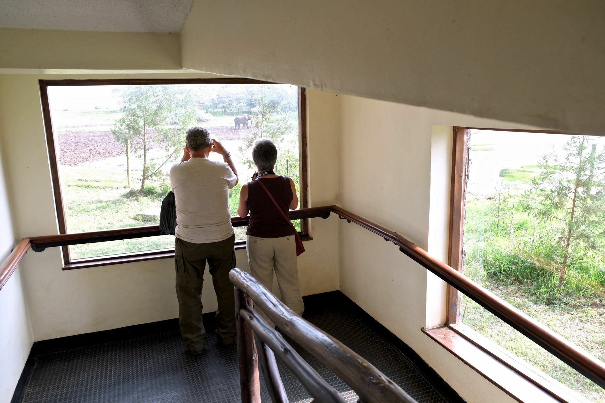 Treetops Mweiga ภายนอก รูปภาพ